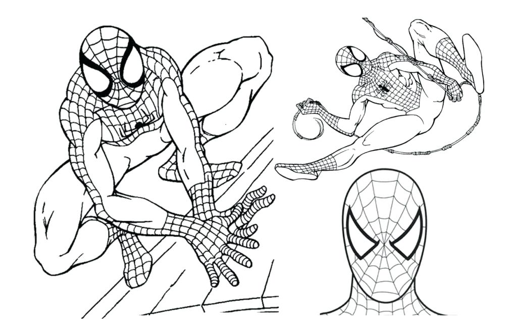 1024x657 Ultimate Spider Man Coloring Pages Spider Man Color Pages Coloring