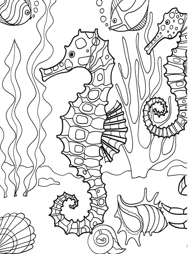 650x867 Free Printable Ocean Coloring Pages Under The Sea Coloring Pages