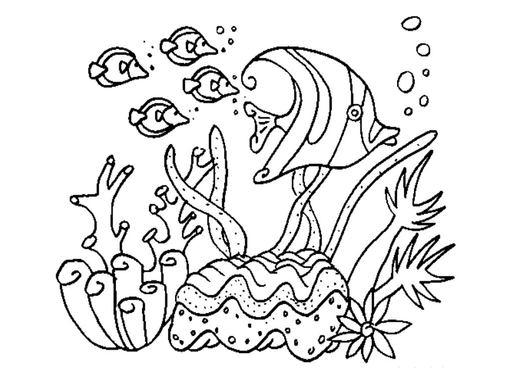 1024x768 Ocean Coloring Pages