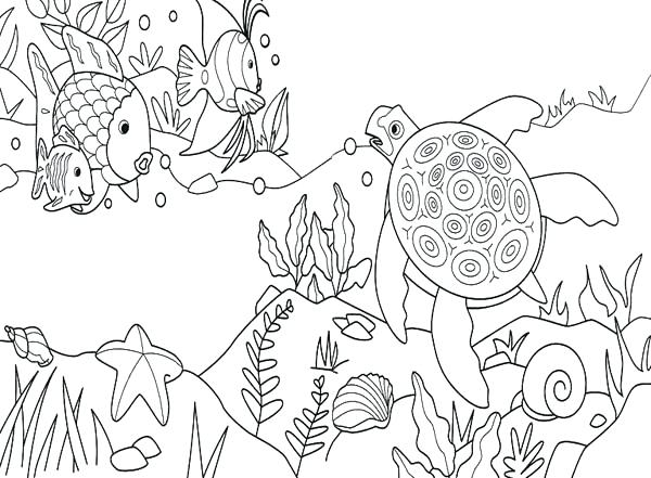 600x441 Coloring Pages Of The Ocean Coloring Ocean Animals Coloring Pages