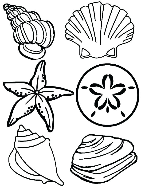 600x800 Underwater Sea Creatures Coloring Pages Ocean Animals Coloring