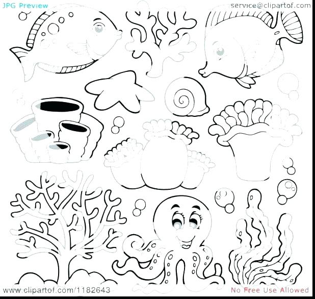 618x586 Ocean Creatures Coloring Pages Marine Life Sea Colouring Preschool