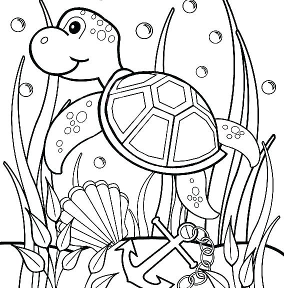 570x576 Sea Coloring Pages