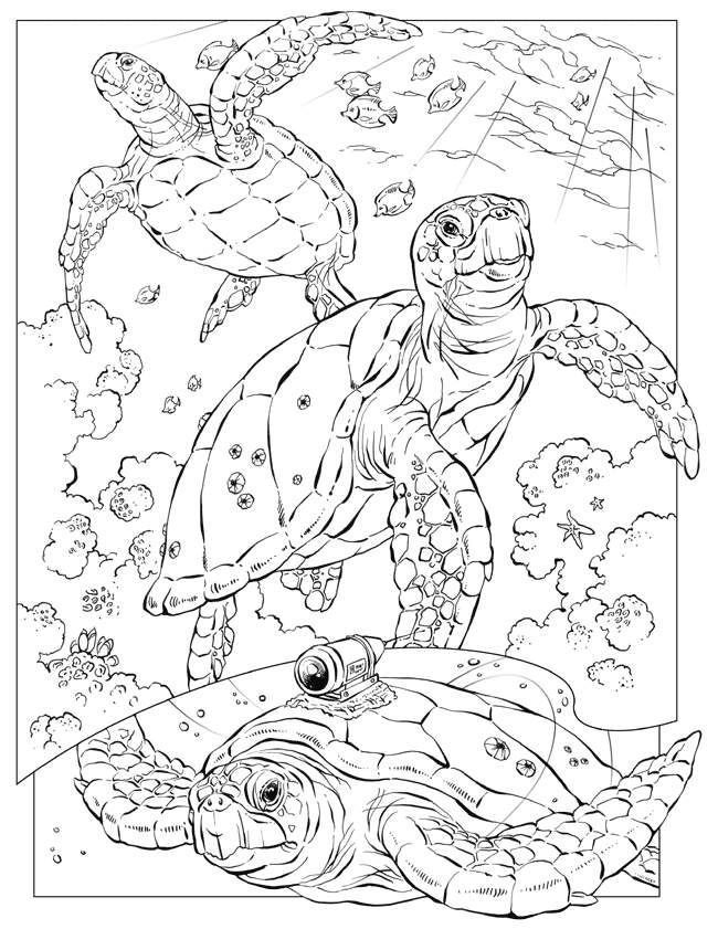 650x841 Best Adult Coloring Pages Images On Coloring Books