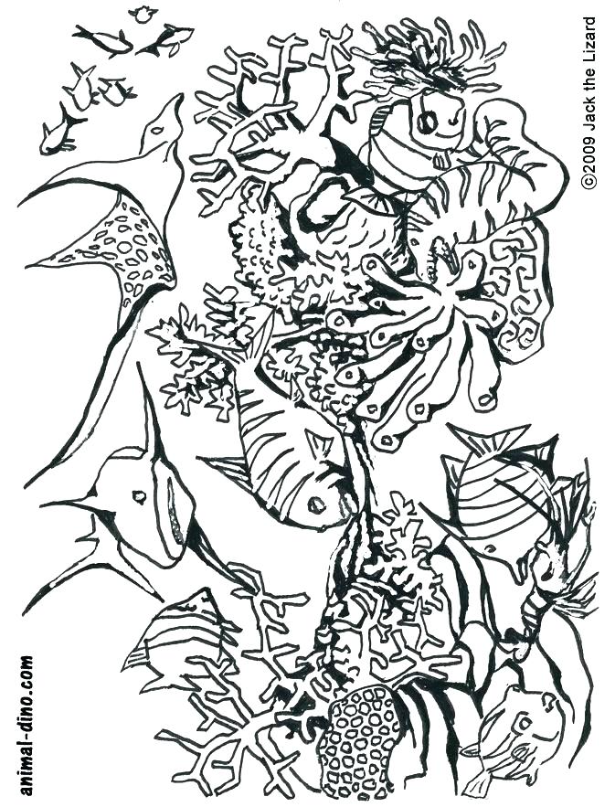 Under The Sea Printable Coloring Pages at GetDrawings | Free download