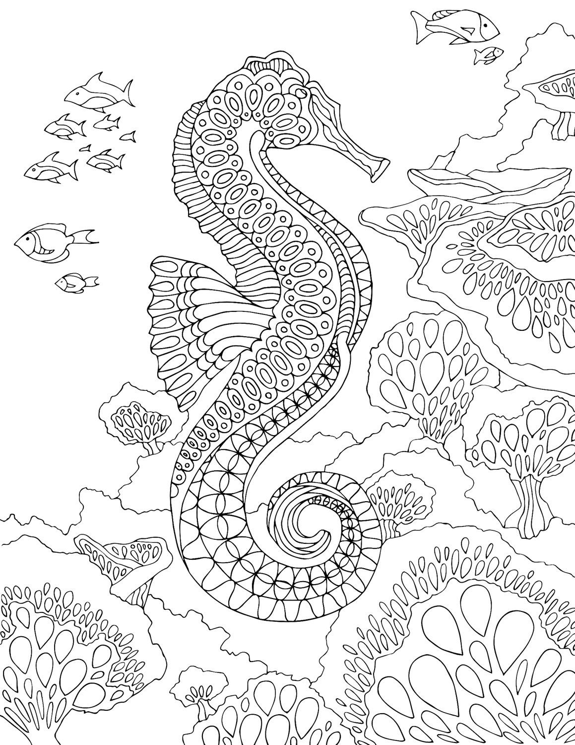 1159x1500 Seahorse Coloring Page