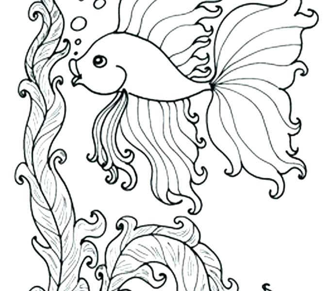 678x600 Underwater Coloring Pages Sea Shells Coloring Pages Under Sea