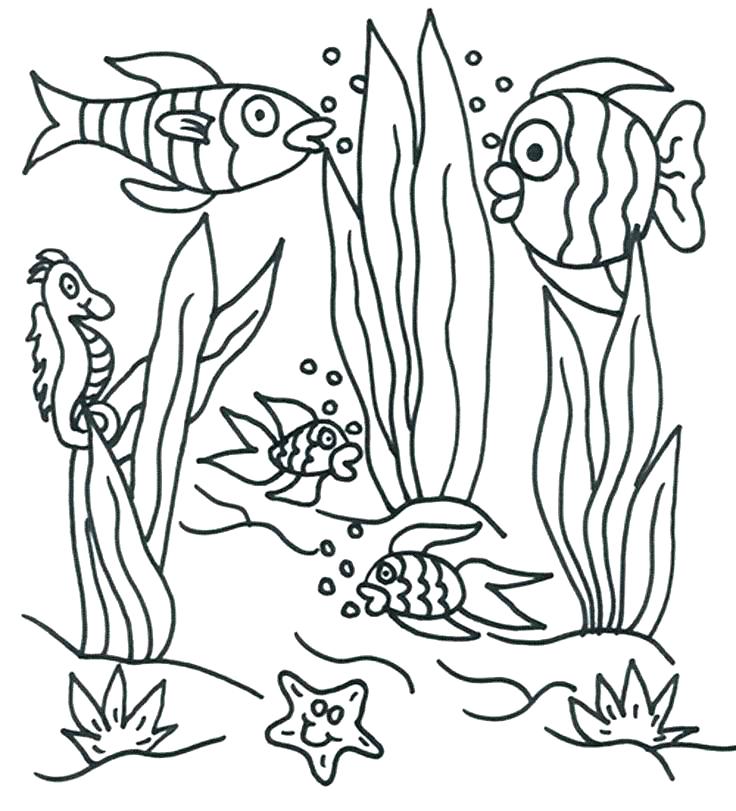 736x811 Underwater Coloring Pages Underwater Sea Creatures Coloring Pages