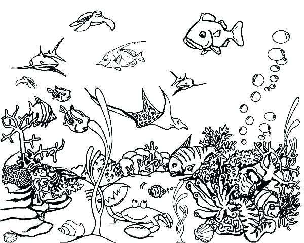 600x480 Coloring Pages Under The Sea