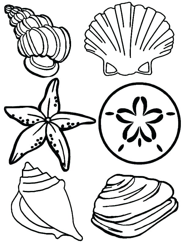600x800 Coloring Pages Of The Ocean Ocean Life Coloring Pages Preschool