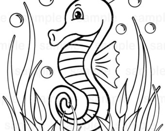 340x270 Horse Coloring Page Etsy