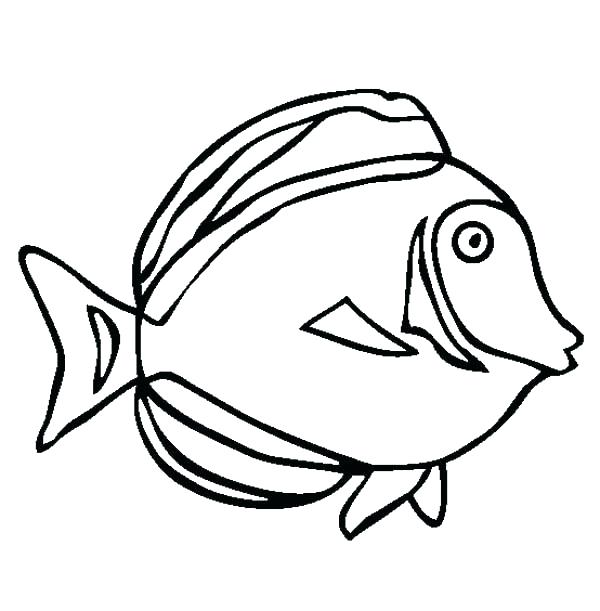 600x611 Sea Animal Coloring Pages Underwater Coloring Page Underwater