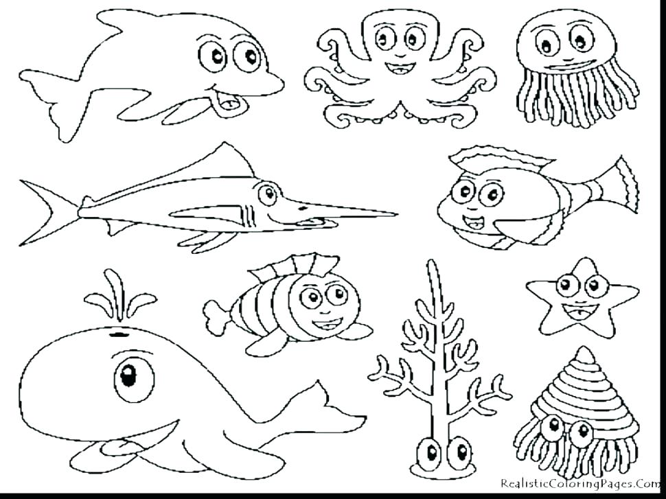 970x727 Sea Creature Coloring Pages Cool Sea Animals Coloring Pages