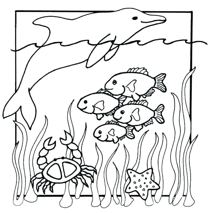 700x707 Coloring Pages Sea Animals Coloring Pages Sea Animals Coloring