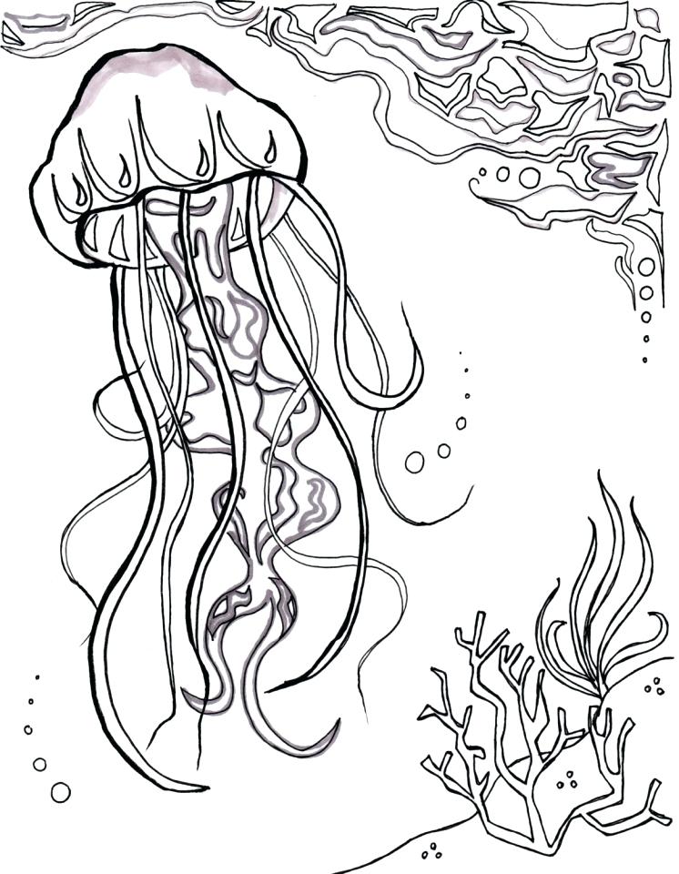 746x960 Ocean Coloring Pages Ocean Coloring Pages For Adults Ocean
