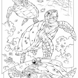 268x268 Underwater Coloring Pages For Adults Archives