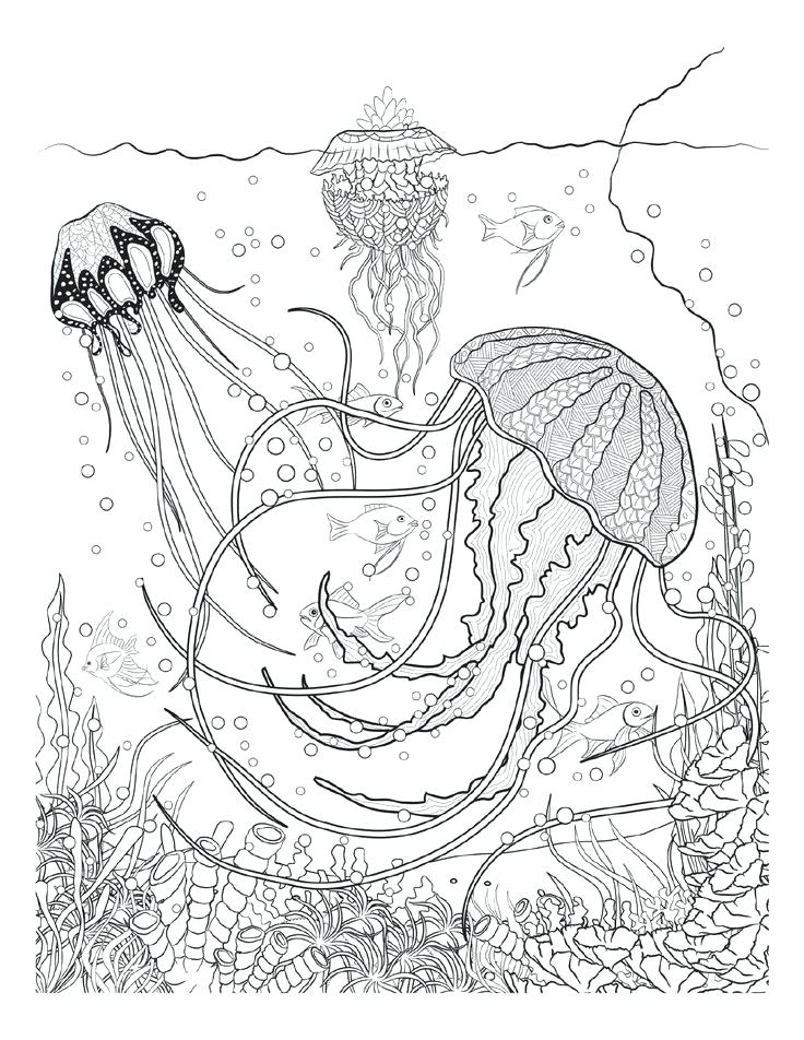 736x952 Underwater Coloring Pages Underwater Coloring Pages Sea Life Page