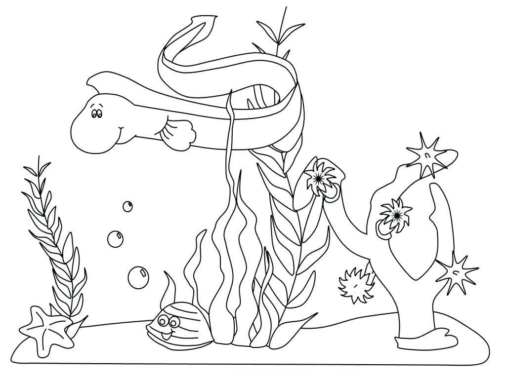 1024x768 Coloring Pages Underwater Coloring Pages Ocean Sea Animals