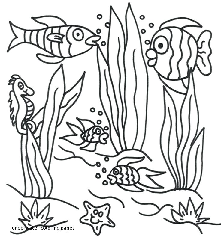 736x811 Printable Ocean Coloring Pages