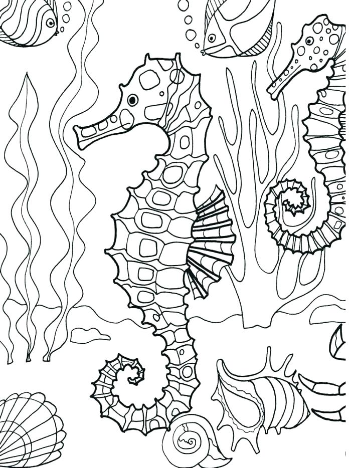 700x934 Underwater Coloring Pages To Print Coloring Pages Sea Animals