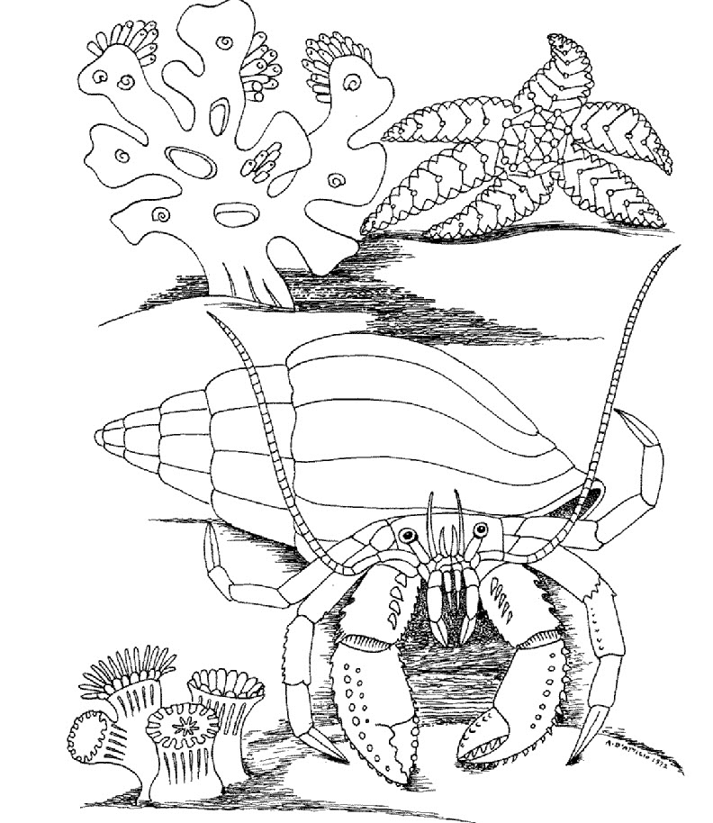 792x914 Kids Under Underwater World Coloring Pages