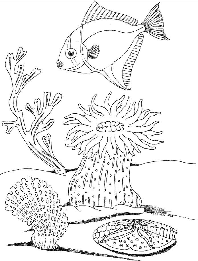 695x917 Plants Coloring Pages
