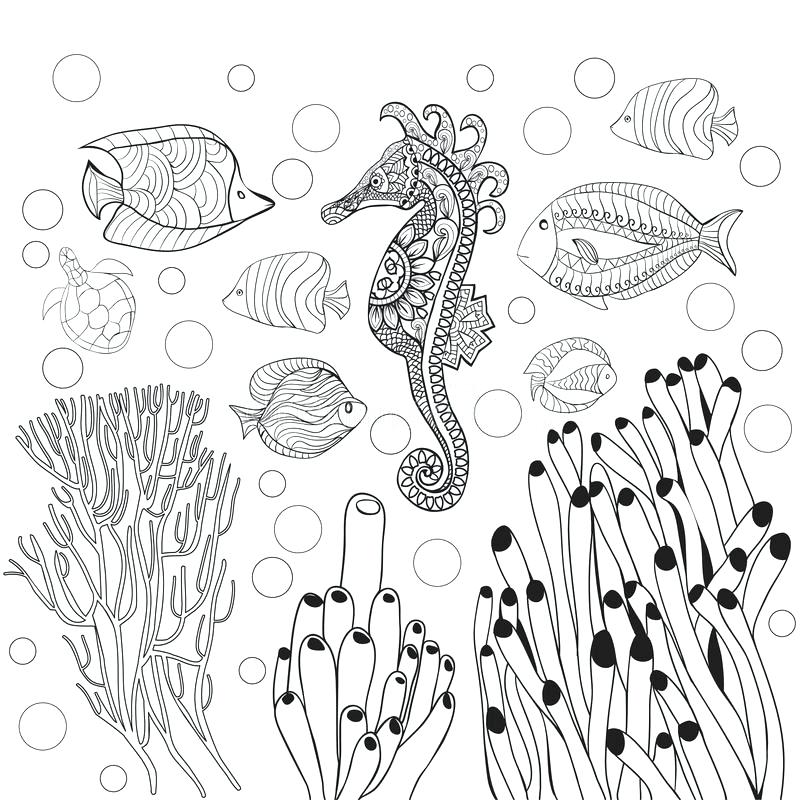 800x800 Underwater Coloring Pages Sea Life Coloring Pages Animals Page