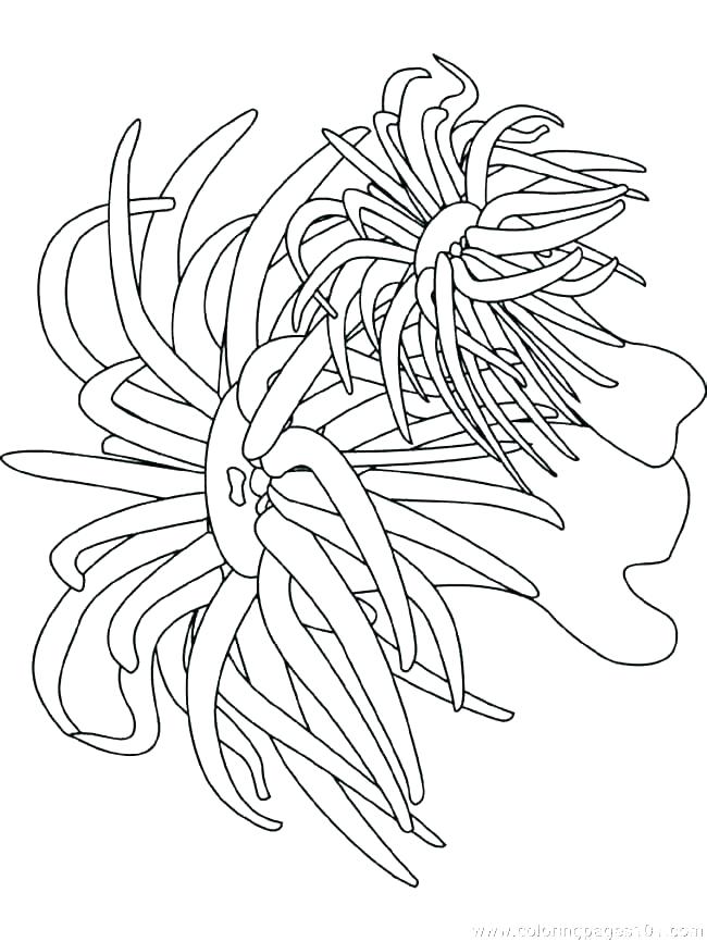 650x866 Ocean Scene Coloring Pages