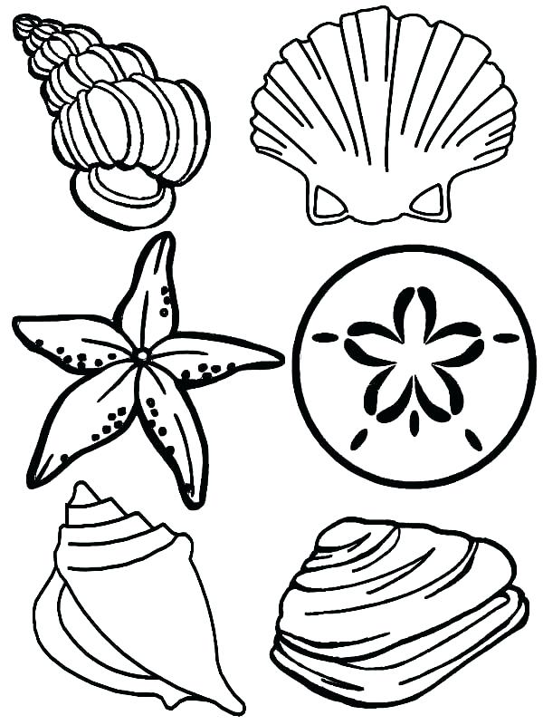 600x800 Underwater Plants Coloring Pages Underwater Coloring Page