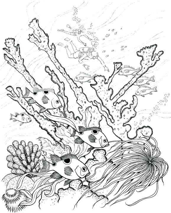 579x720 Ocean Scene Coloring Page Adult Ocean Coloring Pages Underwater