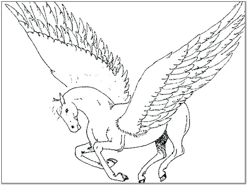 813x610 Unicorn With Wings Coloring Pages Coloring Pages Pictures Unicorn
