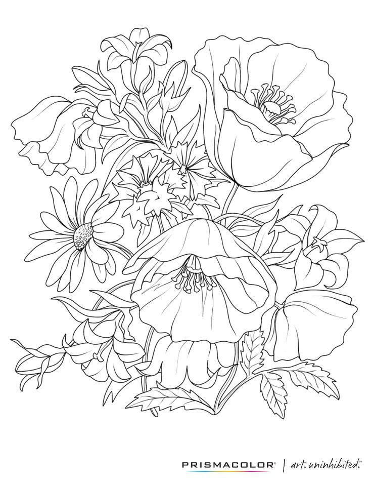 736x952 What A Beautiful Flower Adult Coloring Page Beautiful Flowers
