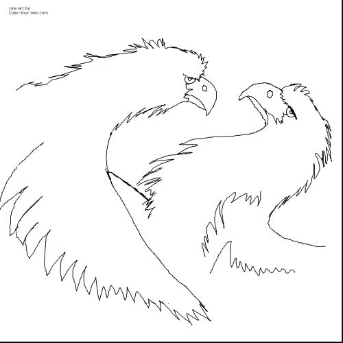 500x500 Philadelphia Eagles Coloring Pages Eagles Coloring Pages Coloring