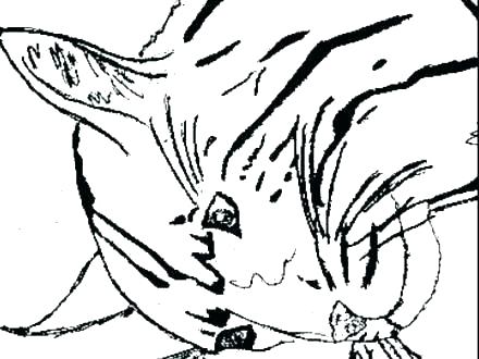 440x330 For Castle Coloring Pages United