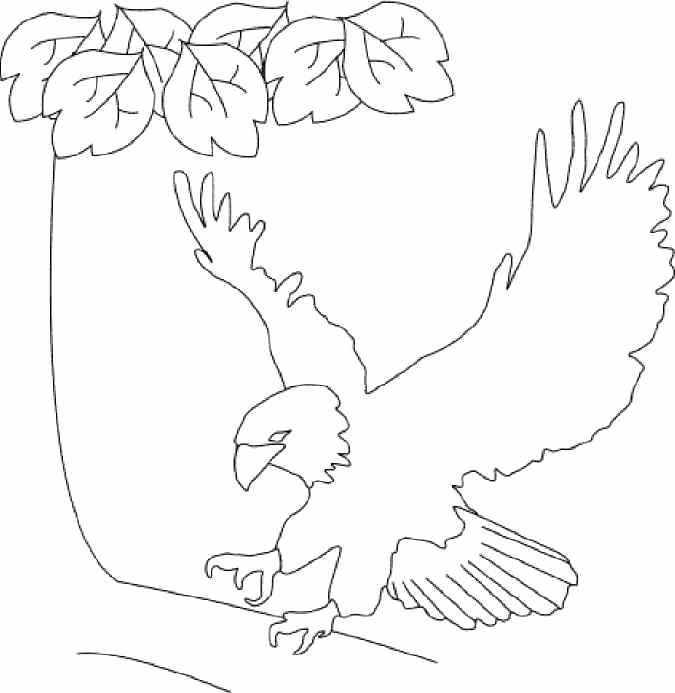 675x693 United States Coloring Page United States Coloring Pages Free