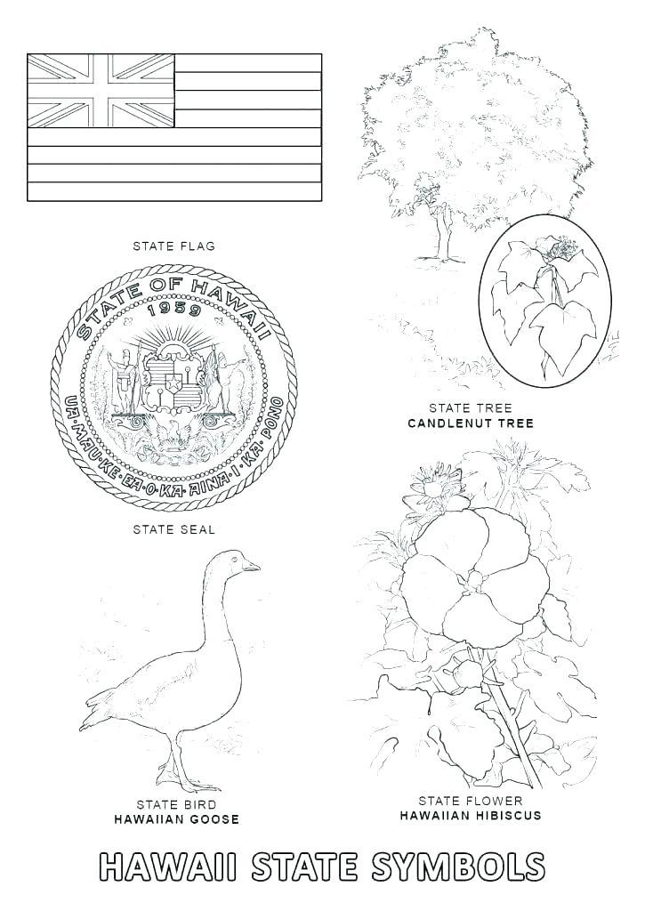 725x1024 United States Map Coloring Page United States Map Coloring Page