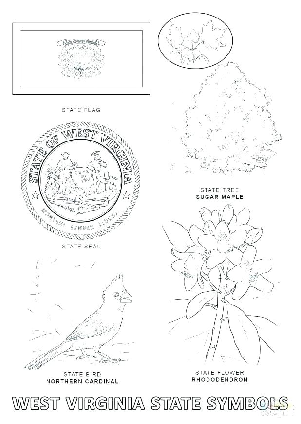 618x872 Florida State Symbols Coloring Pages State Symbols Coloring Pages