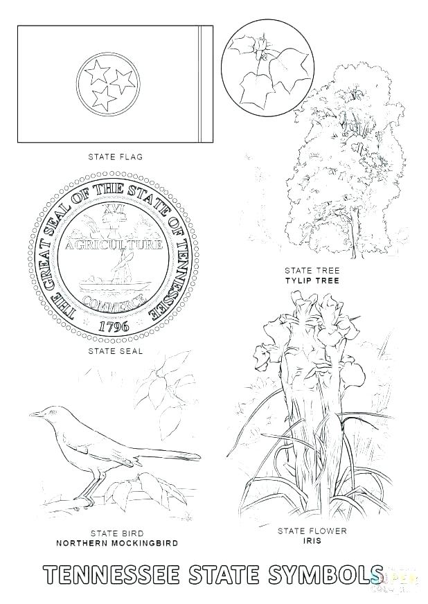 618x872 Texas Flag Coloring Sheet Flag Coloring Sheet Us Symbols Coloring