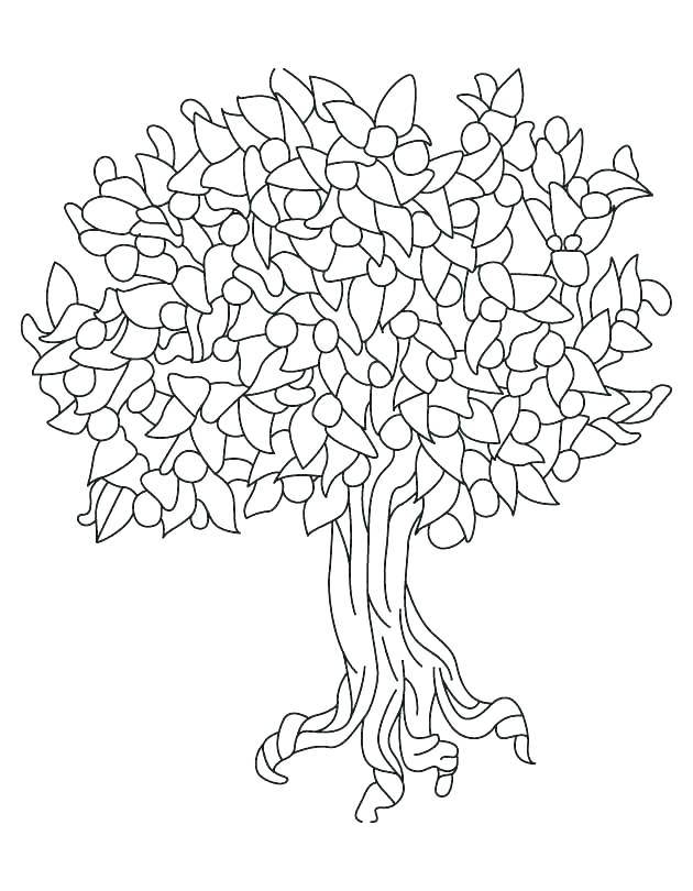 630x810 Coloring Pages Us Symbols Coloring Pages Coloring Pages Louisiana