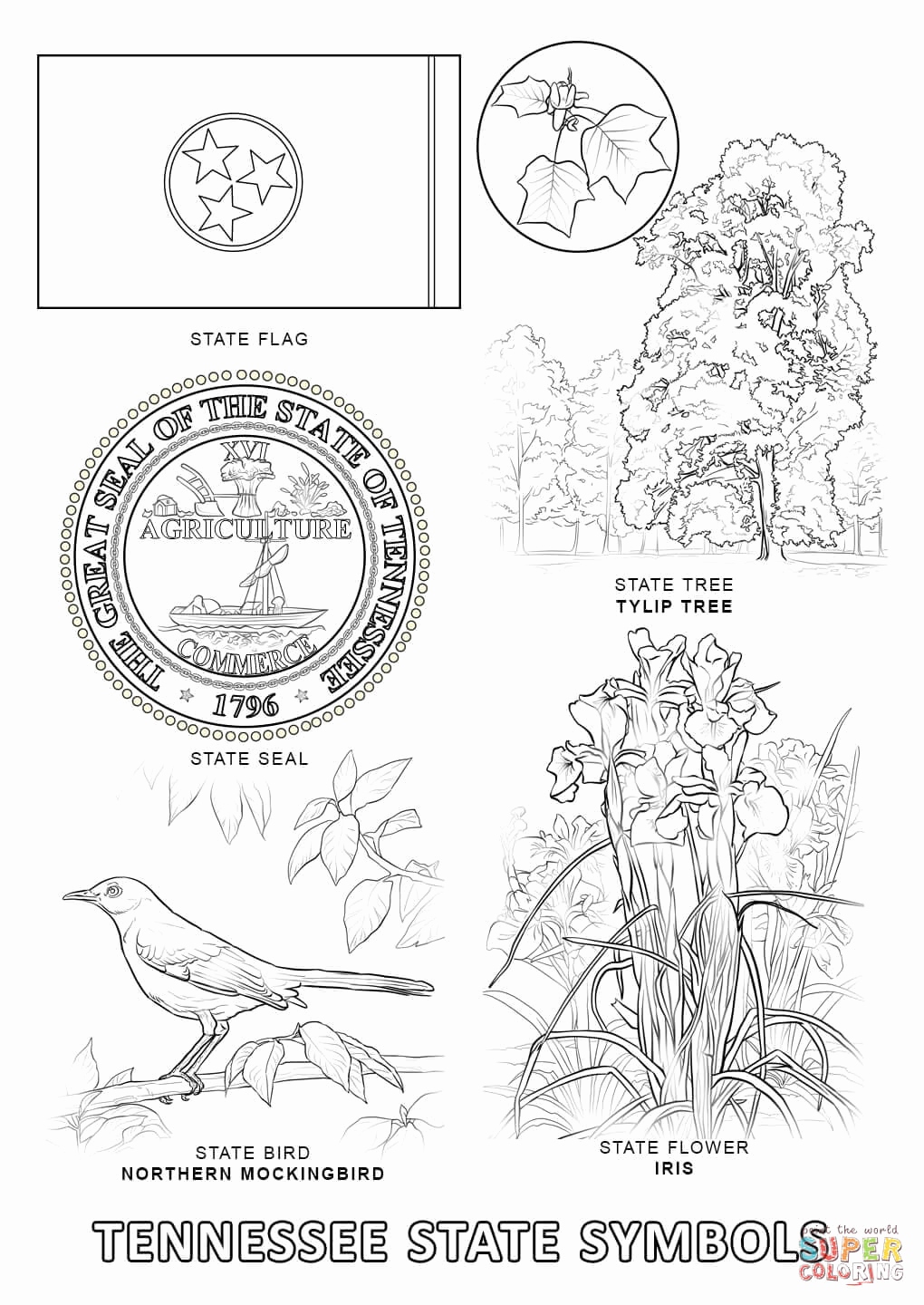 1020x1440 Tennessee State Coloring Pages Photograph Tennessee State Symbols