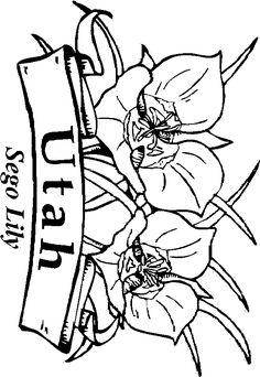 236x342 Utah State Flag Coloring Page United States Mountain States