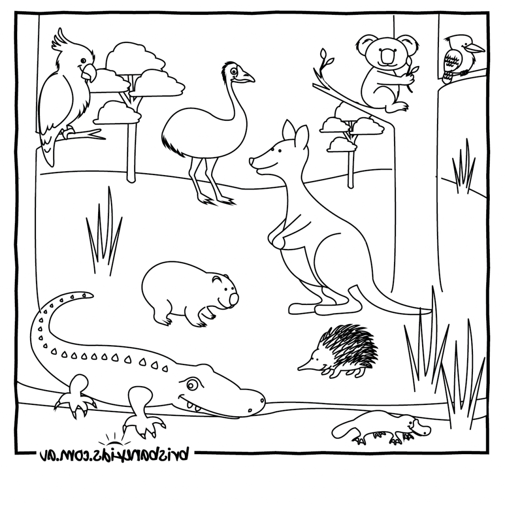 1024x1024 New Australian Animals Coloring Pages Gallery Free Coloring Pages