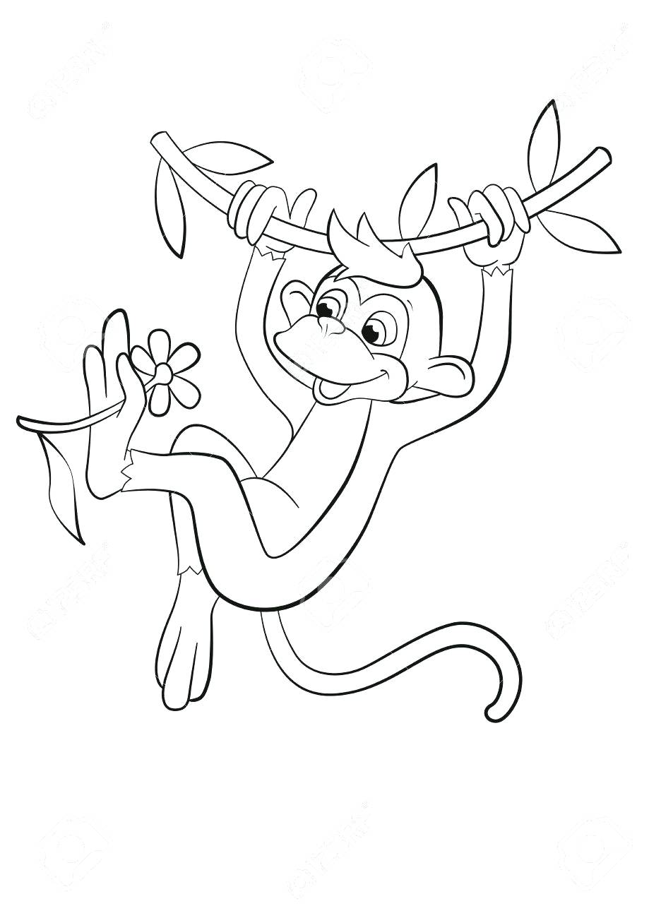 919x1300 Coloring Page Cute Monkey Coloring Pages Valentine Sheet Cartoon