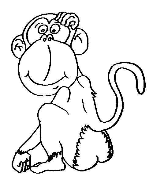 500x600 Monkey Coloring Pages