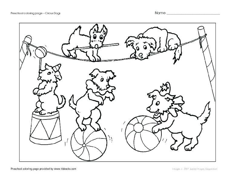 776x600 Online Coloring Pages Valentines Day School Page Circus Dogs K