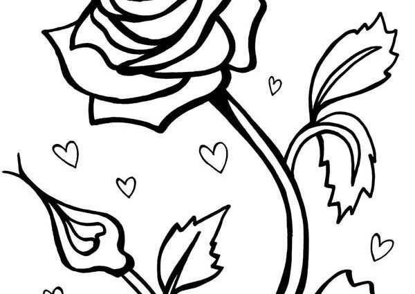 600x425 Valentine Roses Coloring Pages Rose For Valentine Day Coloring