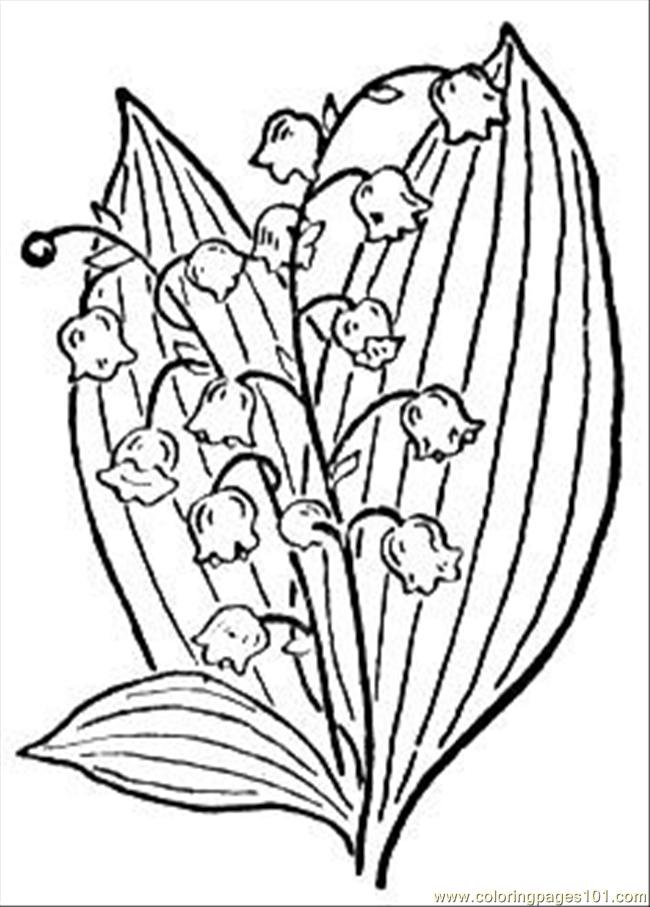 650x907 Lily Of The Valley Coloring Page