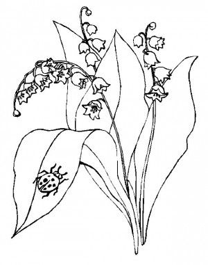 300x381 Lily Of The Valley Coloring Page Free Flowers Coloring Book