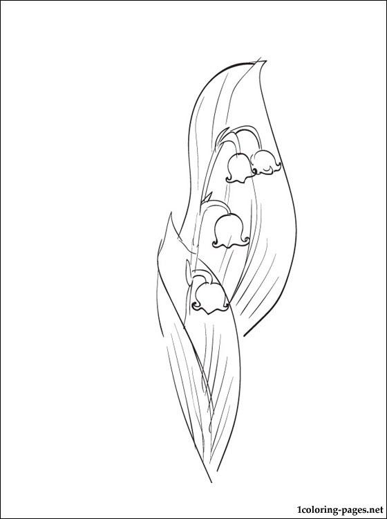 560x750 May Coloring Page Lily Of The Valley Coloring Pages Month