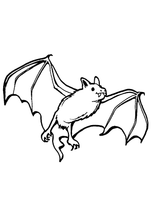 298x421 Fledermaus Malen